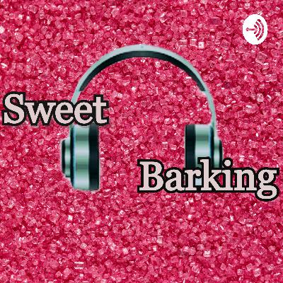 There is No Point to This One I Just Felt Like Talking There is No Point to This One I Just Felt Like Talking