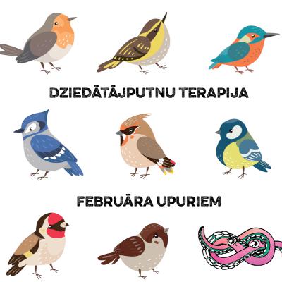 #164 Dziedātājputnu terapija februāra upuriem #164 Dziedātājputnu terapija februāra upuriem