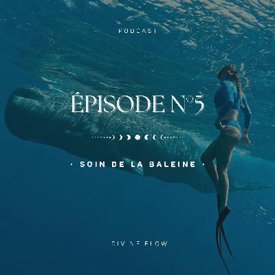 Soin de la Baleine • Expression de votre vérité Soin de la Baleine • Expression de votre vérité