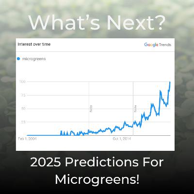 The Next BIG Thing in Microgreens: 2025 Trends Revealed