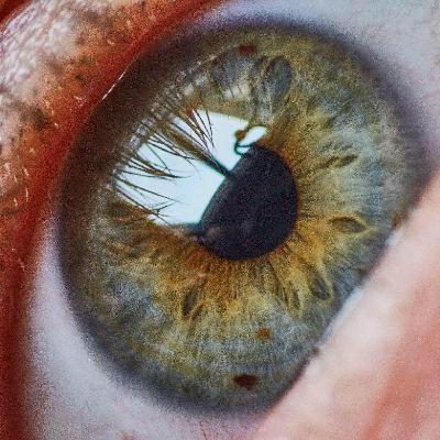 Ask the Expert: Arthur Cummings