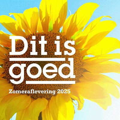 Zomeraflevering 2025: Wat kan je zien, lezen, doen en horen?