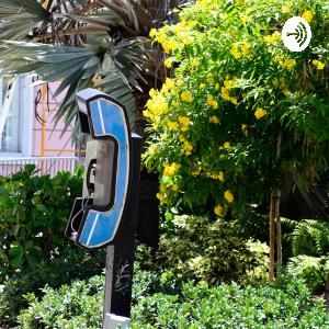 Discussing talking points for Social Issue.