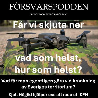 När drönarna kommer — får Sverige skjuta ner dem? När drönarna kommer — får Sverige skjuta ner dem?