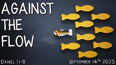 Against the Flow - Audio