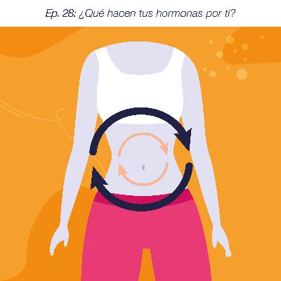 Ep. 28: ¿Qué hacen tus hormonas por ti? Ep. 28: ¿Qué hacen tus hormonas por ti?