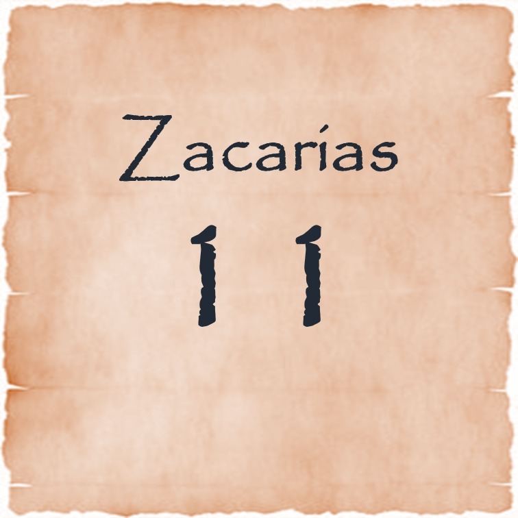 Zacarias 11 episode artwork