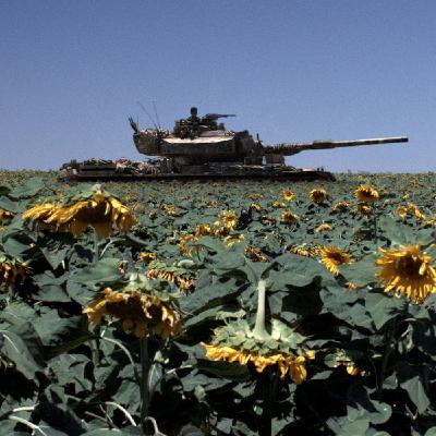 13 - Lebanon di Samuel Maoz