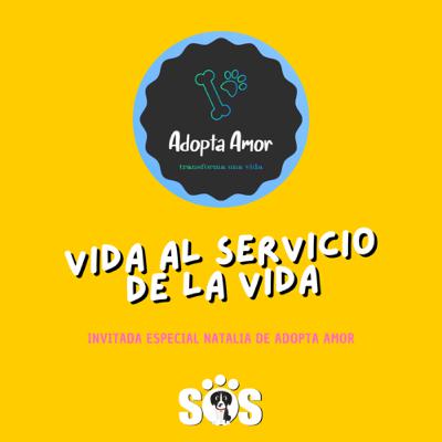Adopta Amor es vida al servicio de la vida 🐾💕