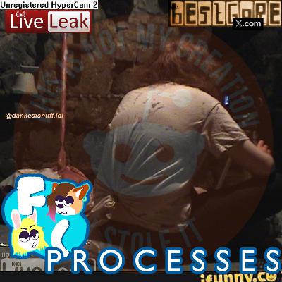 Divine Hammer | FILM CRITTERS PROCESSES Divine Hammer | FILM CRITTERS PROCESSES