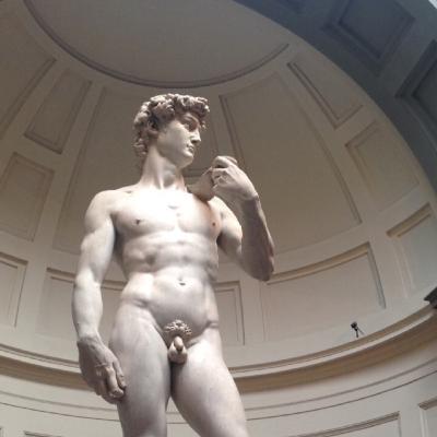 7. El David de Miguel Ángel 7. El David de Miguel Ángel