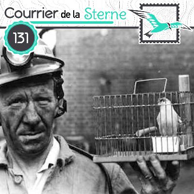CDLS# 131 : Life in the Mines ( Moineau domestique et Canari)