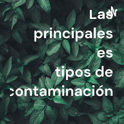 Tipos de contaminación