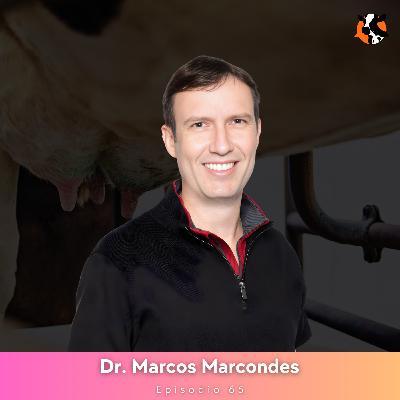 #65 - Maximizando la eficiencia en el desarrollo mamario de las novillas - Dr. Marcos Marcondes