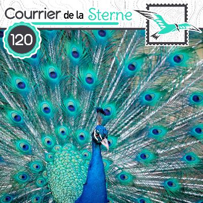 CDLS#120 : Les ailes anciennes ( Paon et Archeopteryx)