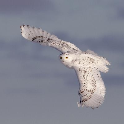 You Been Smokin' Somethin' You Been Smokin' Somethin'