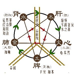 人体五行与产品搭配2 五行相生相克与人体健康