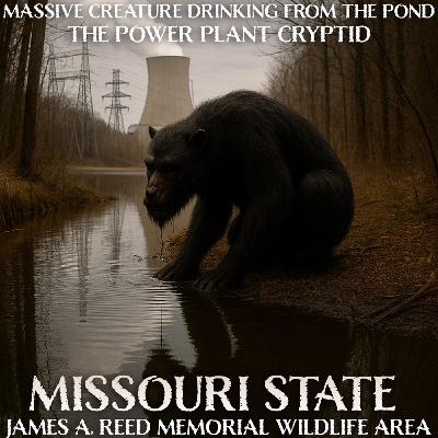 The Black Creature at the Power Plant Pond | Missouri Wildlife Area Cryptid Activity (James A Reed) The Black Creature at the Power Plant Pond | Missouri Wildlife Area Cryptid Activity (James A Reed)