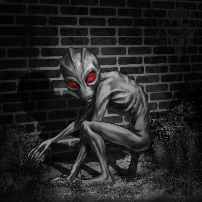 The Alien of Varginha The Alien of Varginha
