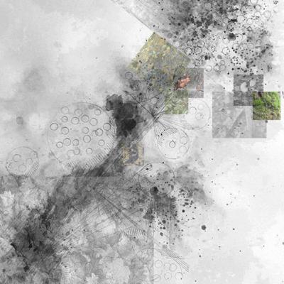 Ecotone; Wetness; The tide and the rain; Dilip Da Cunha Ecotone; Wetness; The tide and the rain; Dilip Da Cunha