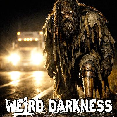 The Hairy Highway Hobgoblin | The Nighttime Highway Entity Truckers Call “The Road Troll” The Hairy Highway Hobgoblin | The Nighttime Highway Entity Truckers Call “The Road Troll”