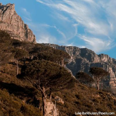 Tell Us About It, Episode 25: Supporting Rural, Remote, and Underserved Survivors in Arizona