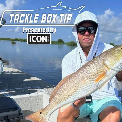 Catching more redfish on the Flats Catching more redfish on the Flats