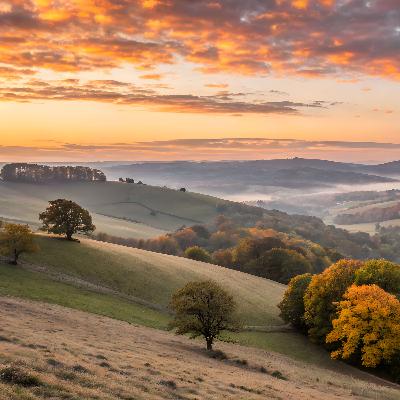 Morning Meditation to Calmly Face a Busy Day