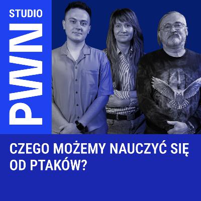 Czego możemy nauczyć się od ptaków? Czego możemy nauczyć się od ptaków?