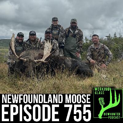 755 Newfoundland Moose Trip 755 Newfoundland Moose Trip