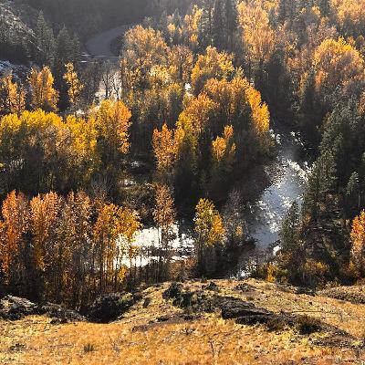 Walking the wild, mythic Edge of Being with visionary elder and soul initiator Bill Plotkin