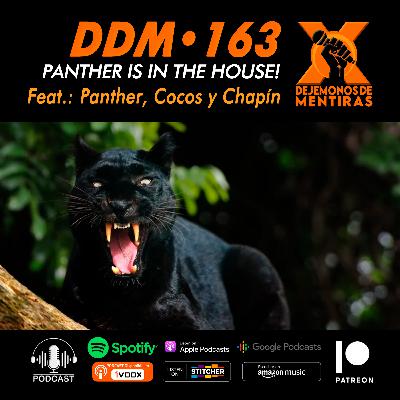 DDM 163 - Panther is in the house!!!
