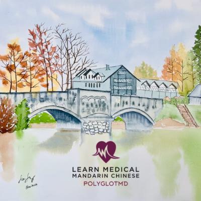 Episode 10: Past Medical History Part 1 - Medical history, medications, allergies and surgeries