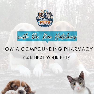 How A Compounding Pharmacy Can Heal Your Pets | SOP Ep. 105 - Dr. Rae Hutchins How A Compounding Pharmacy Can Heal Your Pets | SOP Ep. 105 - Dr. Rae Hutchins