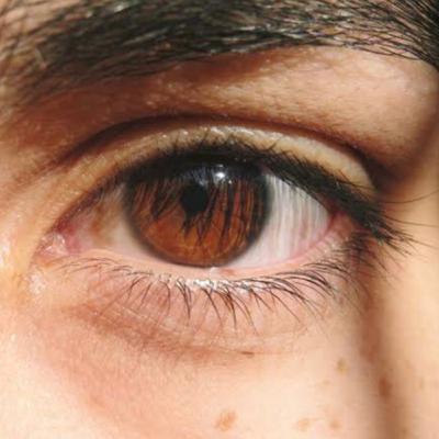 The boy in the window