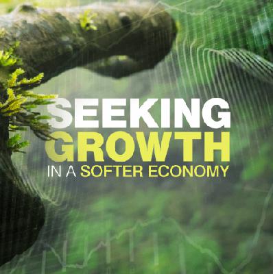 Q3 2019: Seeking Growth in a Softer Economy