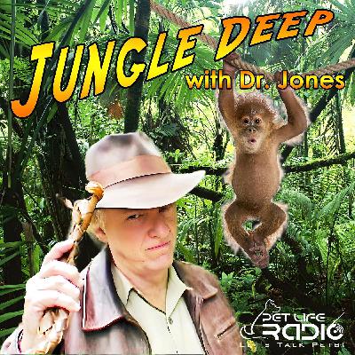 Jungle Deep - Episode 28 Tigers Forever