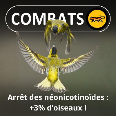 S05E36 Arrêt des néonicotinoïdes : + 3% d'oiseaux ! S05E36 Arrêt des néonicotinoïdes : + 3% d'oiseaux !