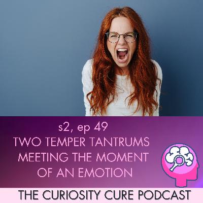 S2E49 A Tale of Two Temper Tantrums