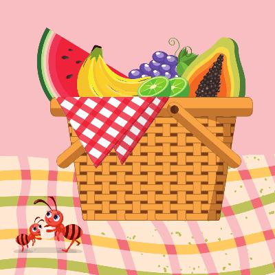 ¡Vamos de Picnic!