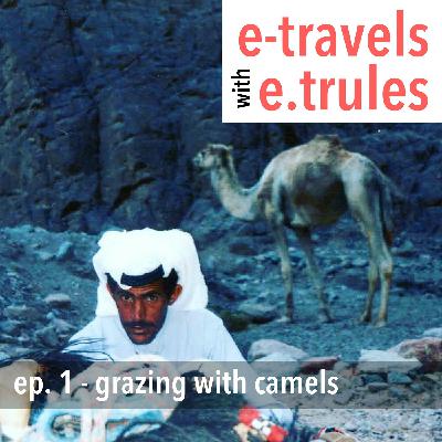 Grazing With Camels - Episode 1 Grazing With Camels - Episode 1