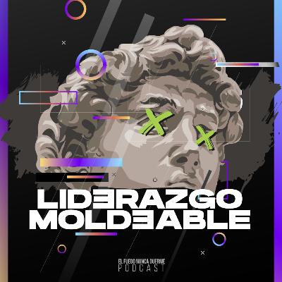 #17 | SERIE Liderazgo Moldeable: El Choque de 2 Dimensiones