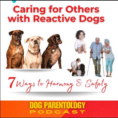 7 Steps To Help Reactive Dogs When Caring For Others - Expecting Mothers, Caregivers and Adopters