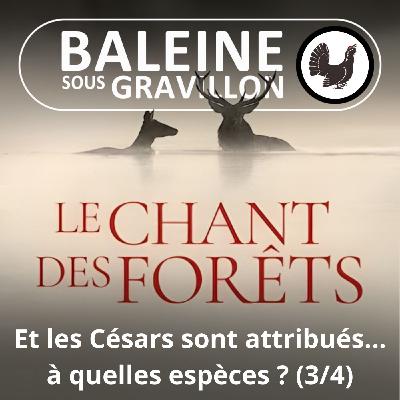 Le Chant des forêts 3/4 : La palette sonore du monde vivant (Marc Namblard)