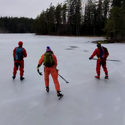 Petri Forsman - Suunnistuksen suomenmestari, seikkailu-urheilun maailmanmestari ja Swimrun pioneeri