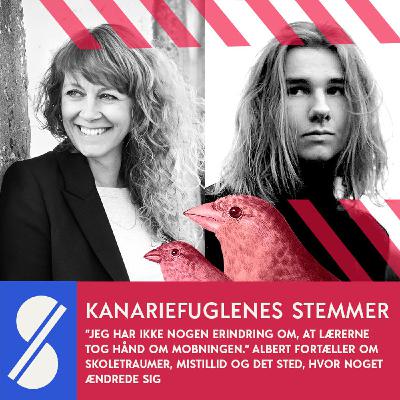 31. “Jeg har ingen erindring om, at der nogensinde blev taget hånd om mobningen.” Albert fortæller om skoletraumer og mistillid til skolen