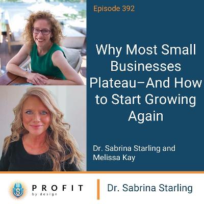 392: Why Most Small Businesses Plateau — And How to Start Growing Again