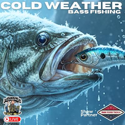 The Cold Water Bass Blueprint (Proven Winter Tactics)