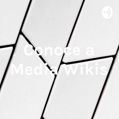 Conoce a Media Wikis.
