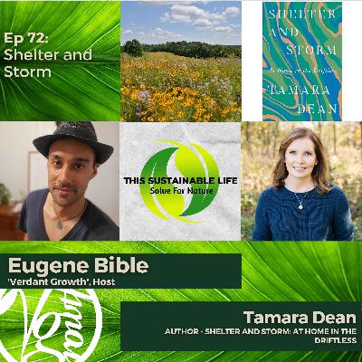 Shelter and Storm w/ Tamara Dean